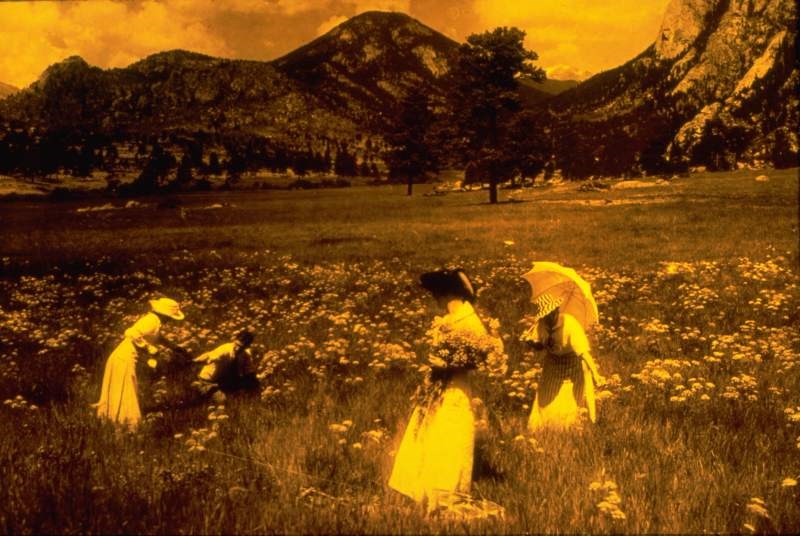 a vintage photo of picking flowers in Rocky Mountain National Park