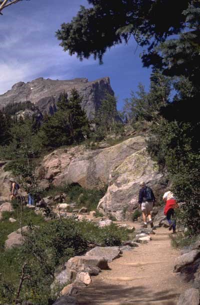a photo of elements of historic trails