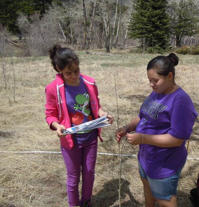 students conduct elk research students conduct elk research