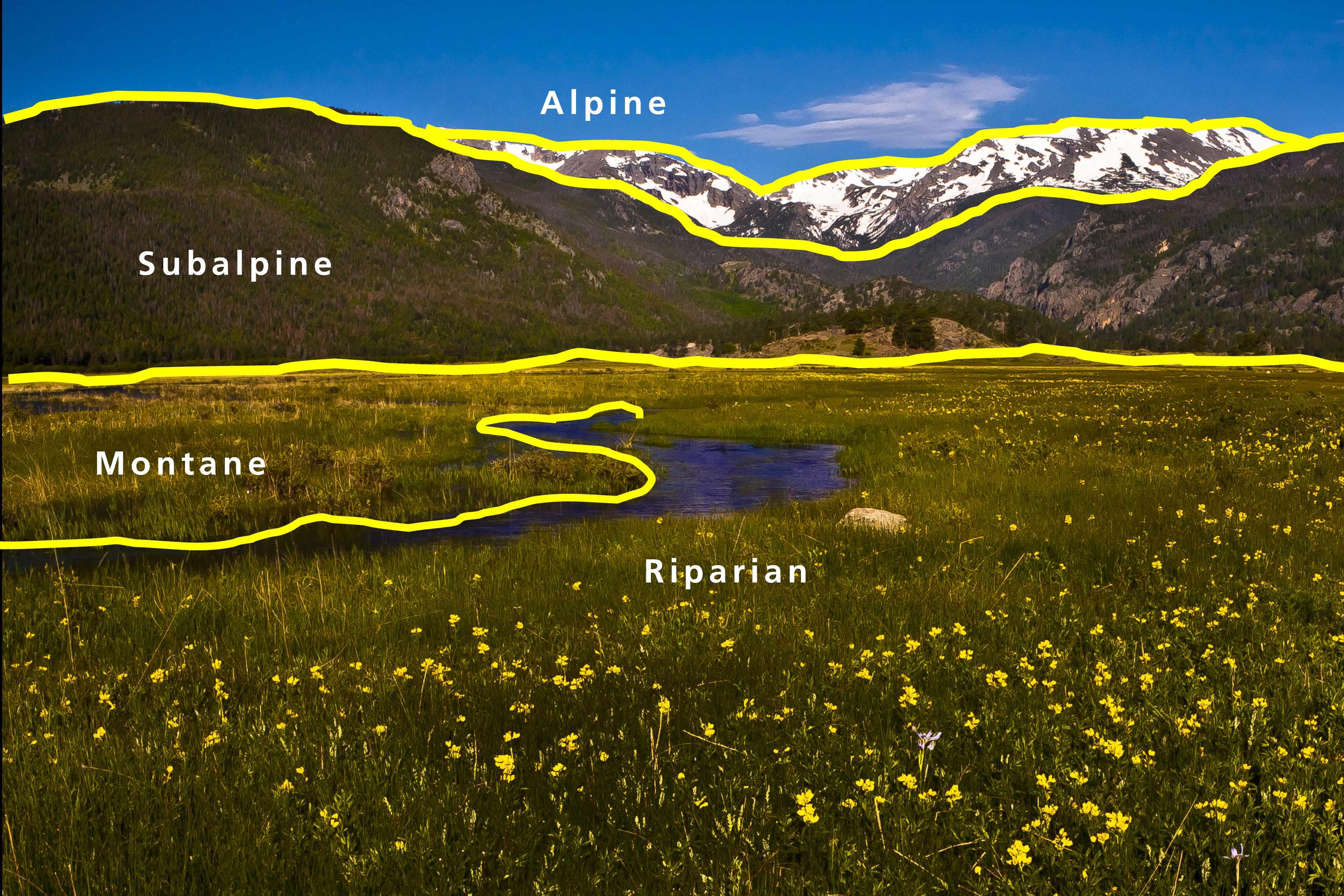 Virtual Programs - Rocky Mountain National Park (U.S. National Park ...