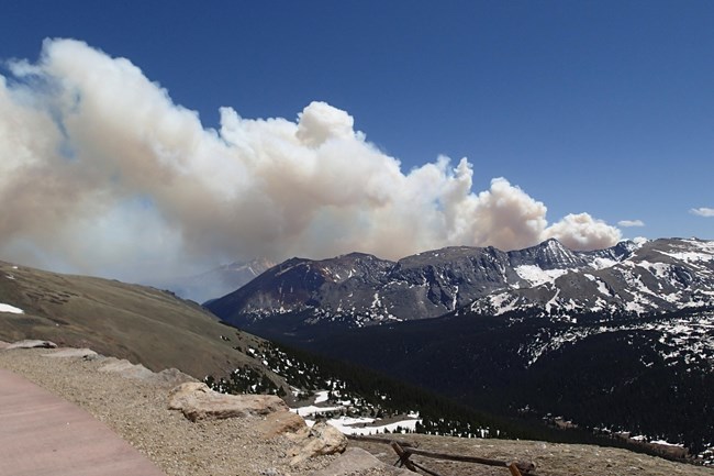 Wildfire Behavior
