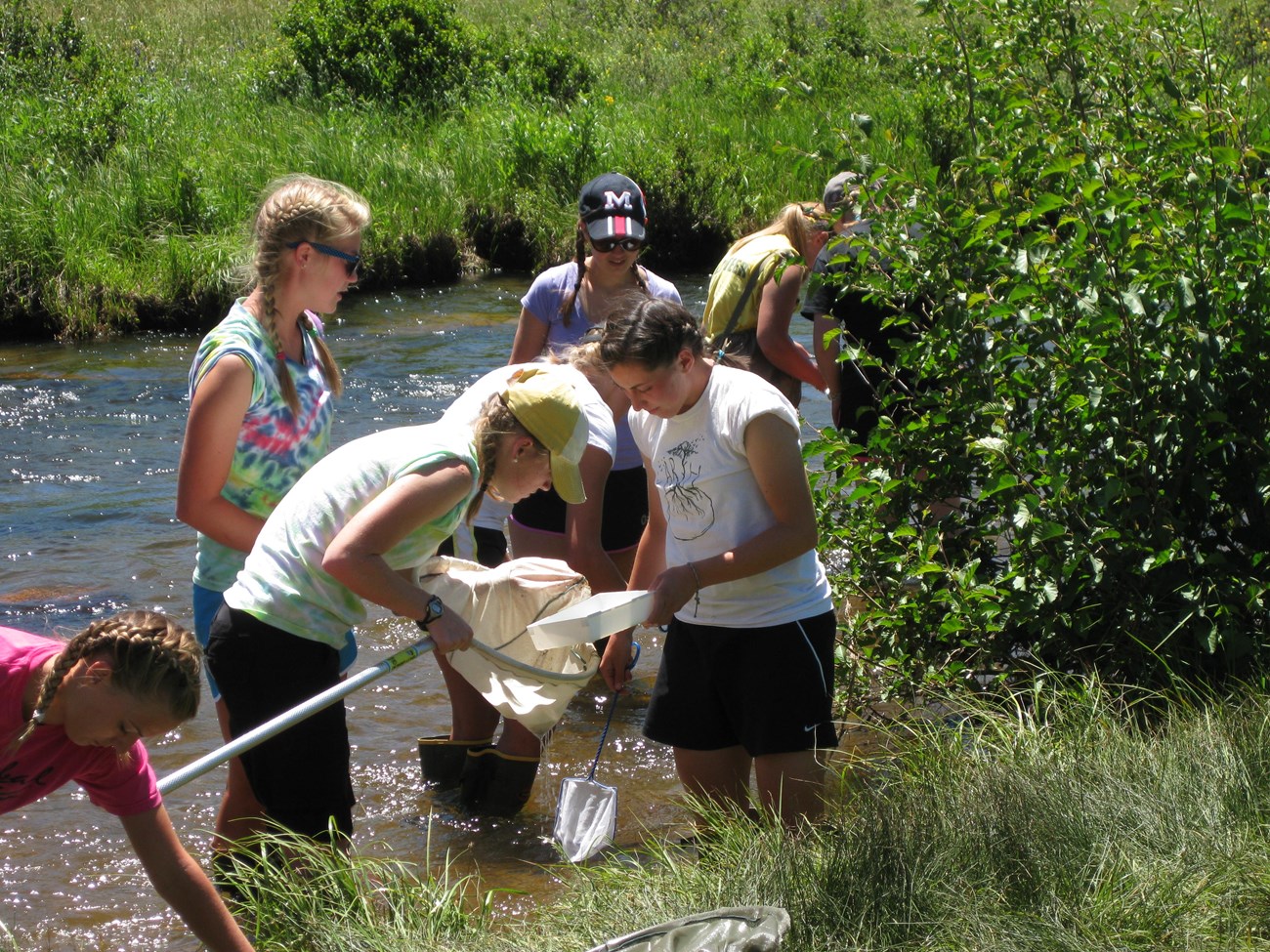 Students investigate a river for invertebrates