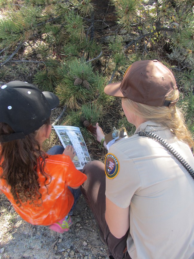 An education intern helps a student explore a pine tree