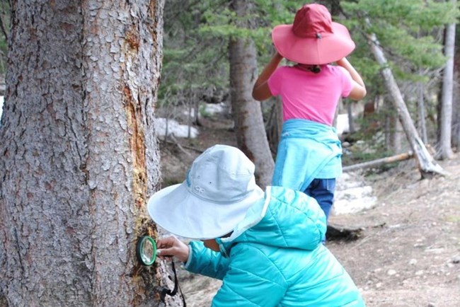 Habitat Investigator