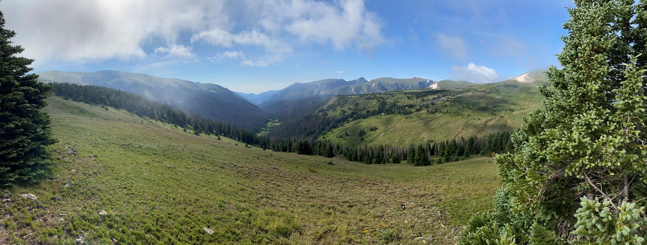 Scenic view of_green grasses in Kawuneeche Valley in summer