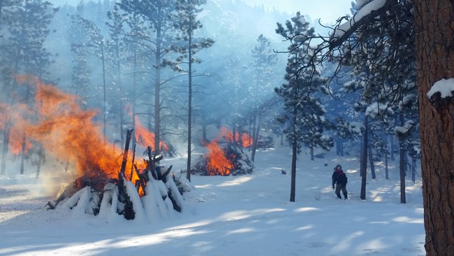 slash piles burning in winter