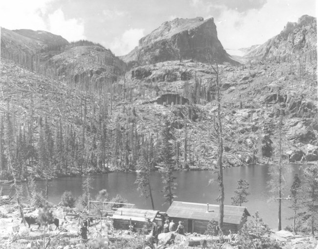 scorched trees surrounding Bear Lake after the fire of 1900