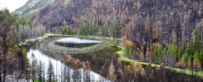 Cub Lake view post Fern Lake Fire Cub Lake view post Fern Lake Fire