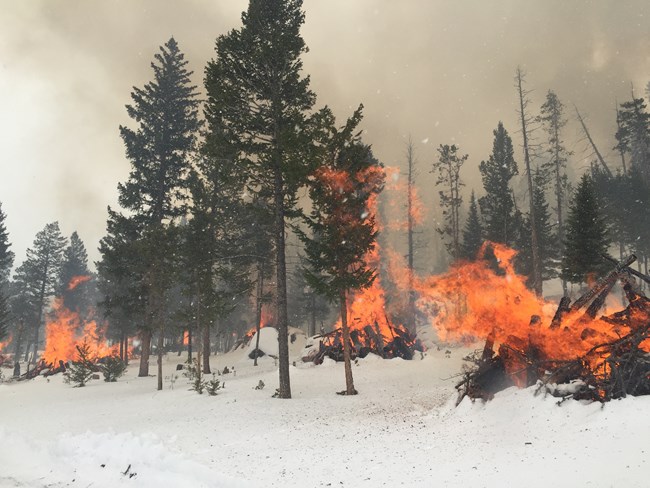 slash piles burning on Deer Mountain