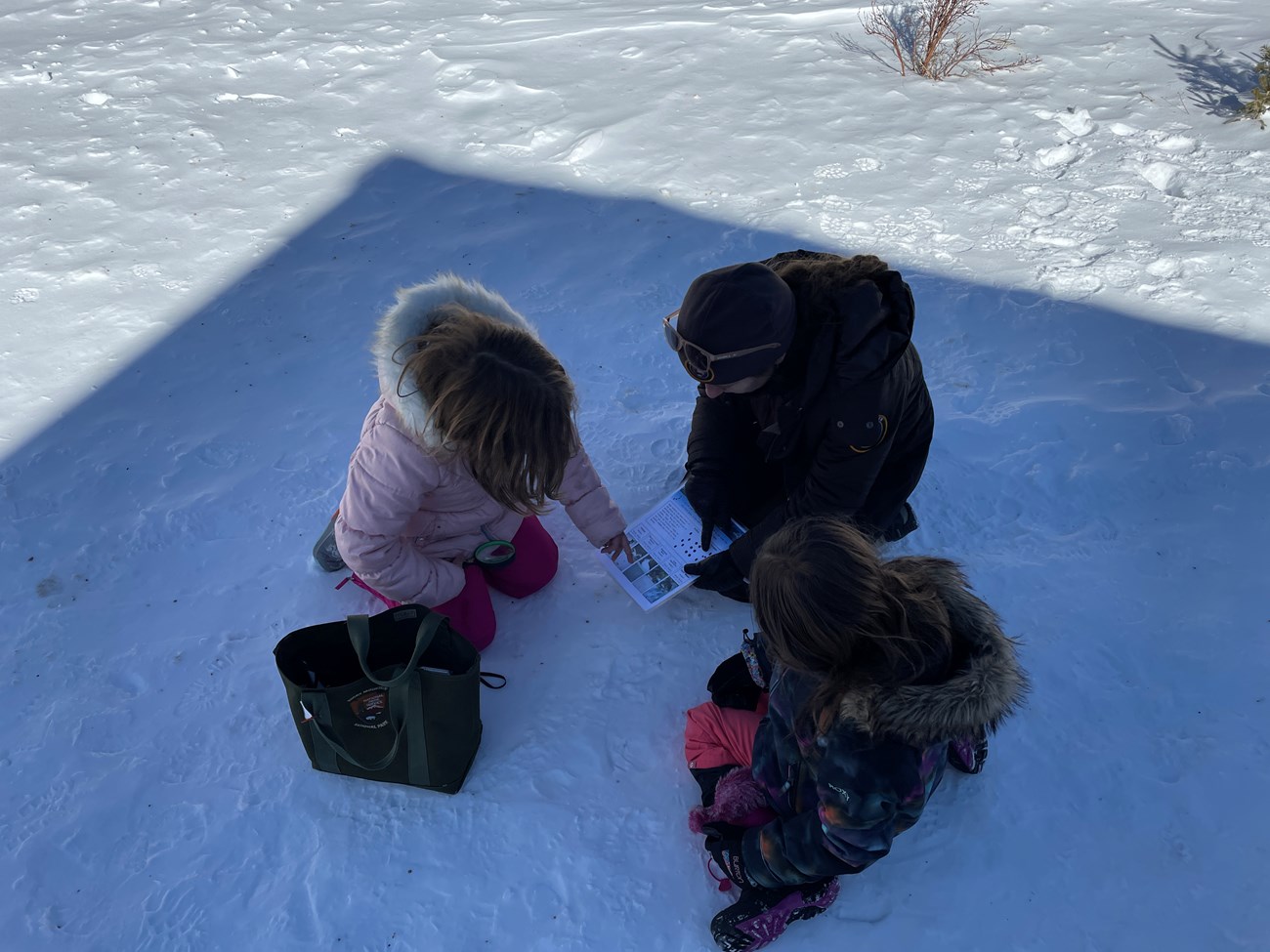 Junior Rangers are investigating with Winter Explorer Bags