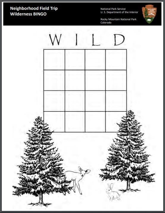 An activity page titled "Wild" with a 5x5 grid and drawings of pine trees and forest animals.