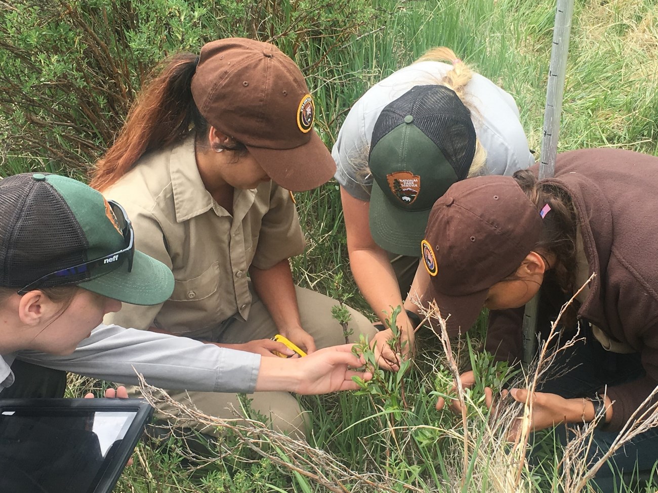 EVMP Data Collection