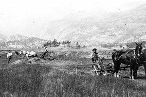 Farmers haying Moraine Park in the 1880's