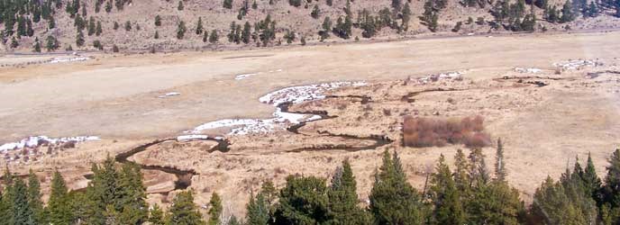 Aerial view of Horseshoe Park and healthy willow inside an elk exclosure Aerial view of Horseshoe Park and healthy willow inside an elk exclosure