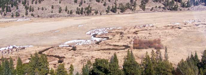 Aerial view of Horseshoe Park and healthy willow inside an elk exclosure