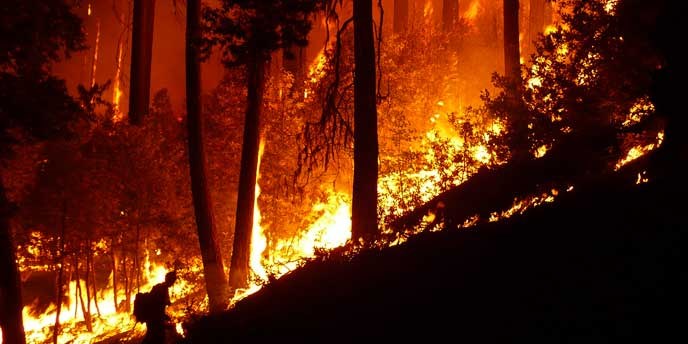 Firefighter silhouette in large burning forest