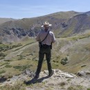 Ranger overlooks the alpine tundra