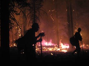 Hotshot firefighters fighting a fire at night