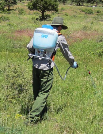 Park employee applying herbicide with a backpack sprayer to control exotic/invasive plants. Park employee applying herbicide with a backpack sprayer to control exotic/invasive plants.