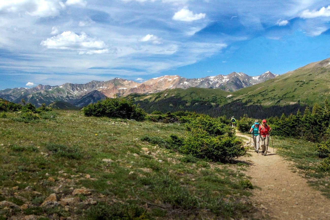 Alpine Hikers