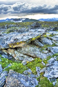 Storm clouds over alpine tundra