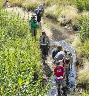Students look for life in a stream
