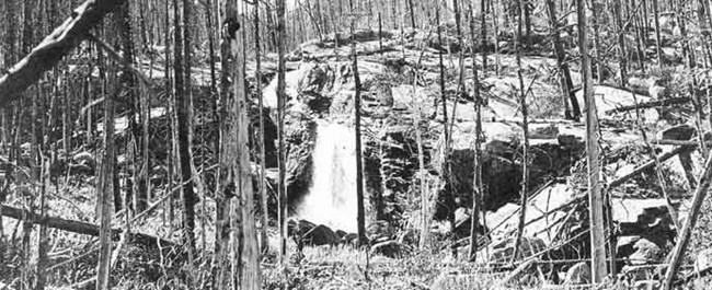 Alberta Falls after the 1900 fire Alberta Falls after the 1900 fire