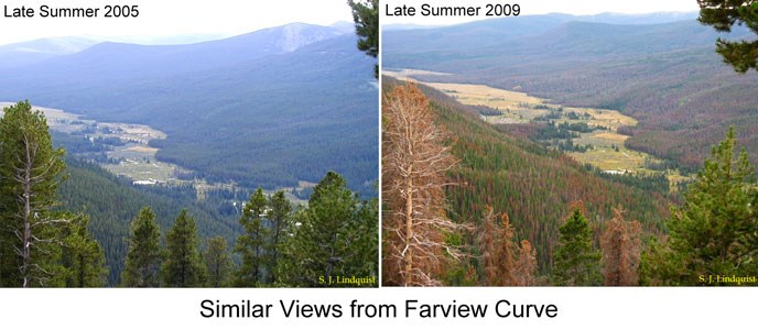 Comparison photos of Kawuneeche Valley in 2005 and 2009