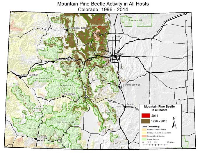Mountain pine beetle map of Colorado
