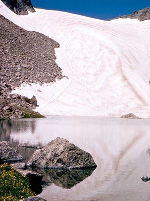 Andrews glacier