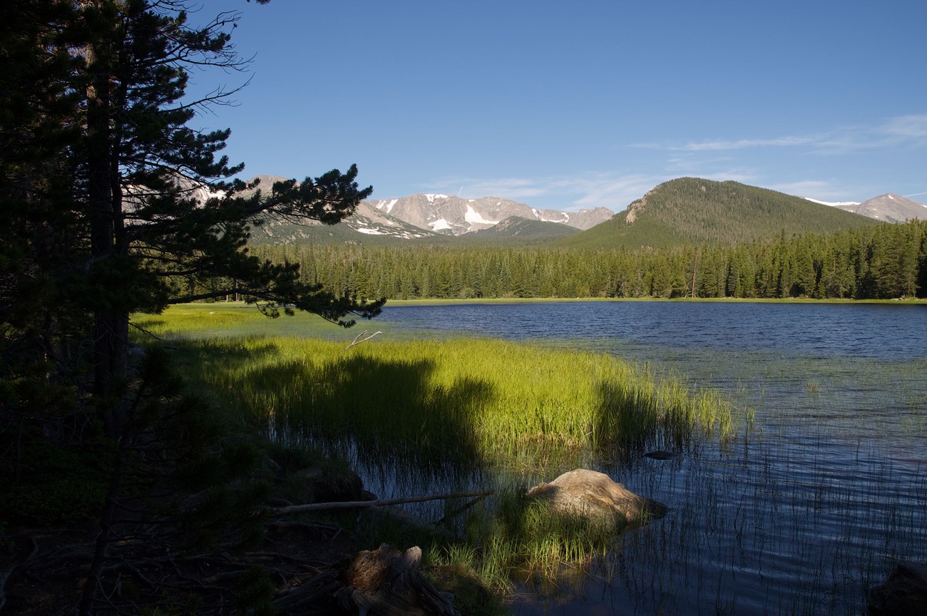 Sprague Lake