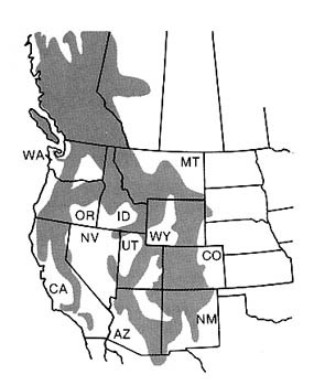 Photo map of beetle range in North America.