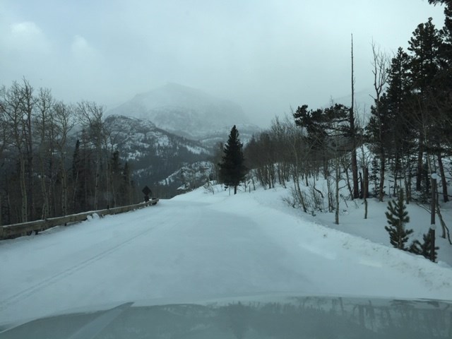 Bear Lake Road covered in a layer of new snow.