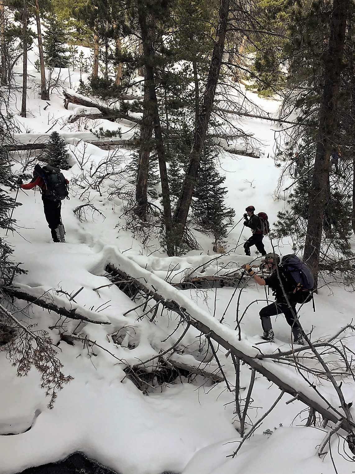 Boulder Brook Search Area November 30, 2018 Courtesy Rocky Mountain National Park Boulder Brook Search Area