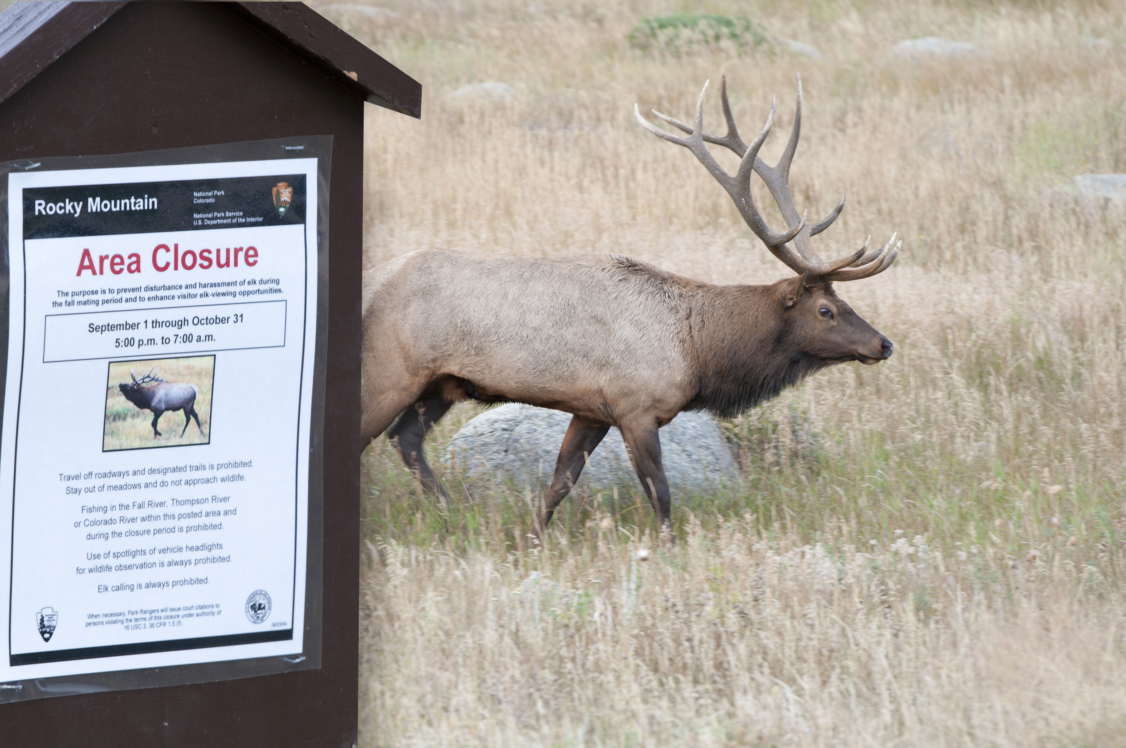 Meadow closure sign with elk in meadow