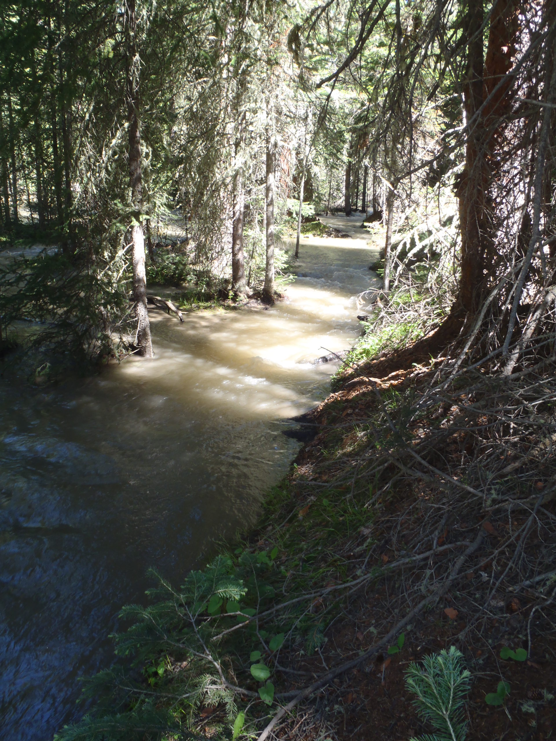 Colorado River Trail June 18, 2017