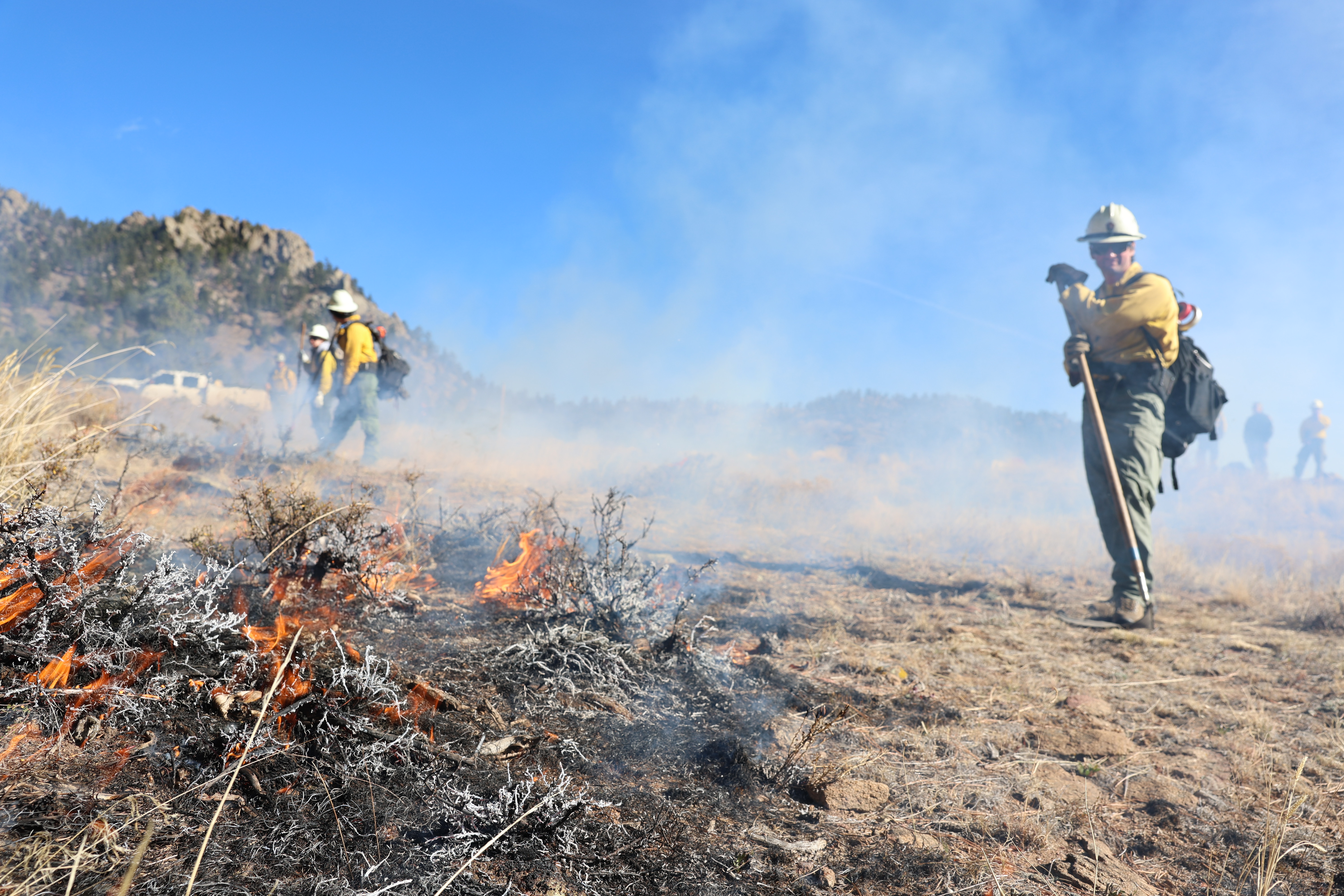 NPS firefighters are managing a prescribed fire operation on the Headquarters Unit of RMNP's Frontcountry Prescribed Fire, taken November 1, 2024