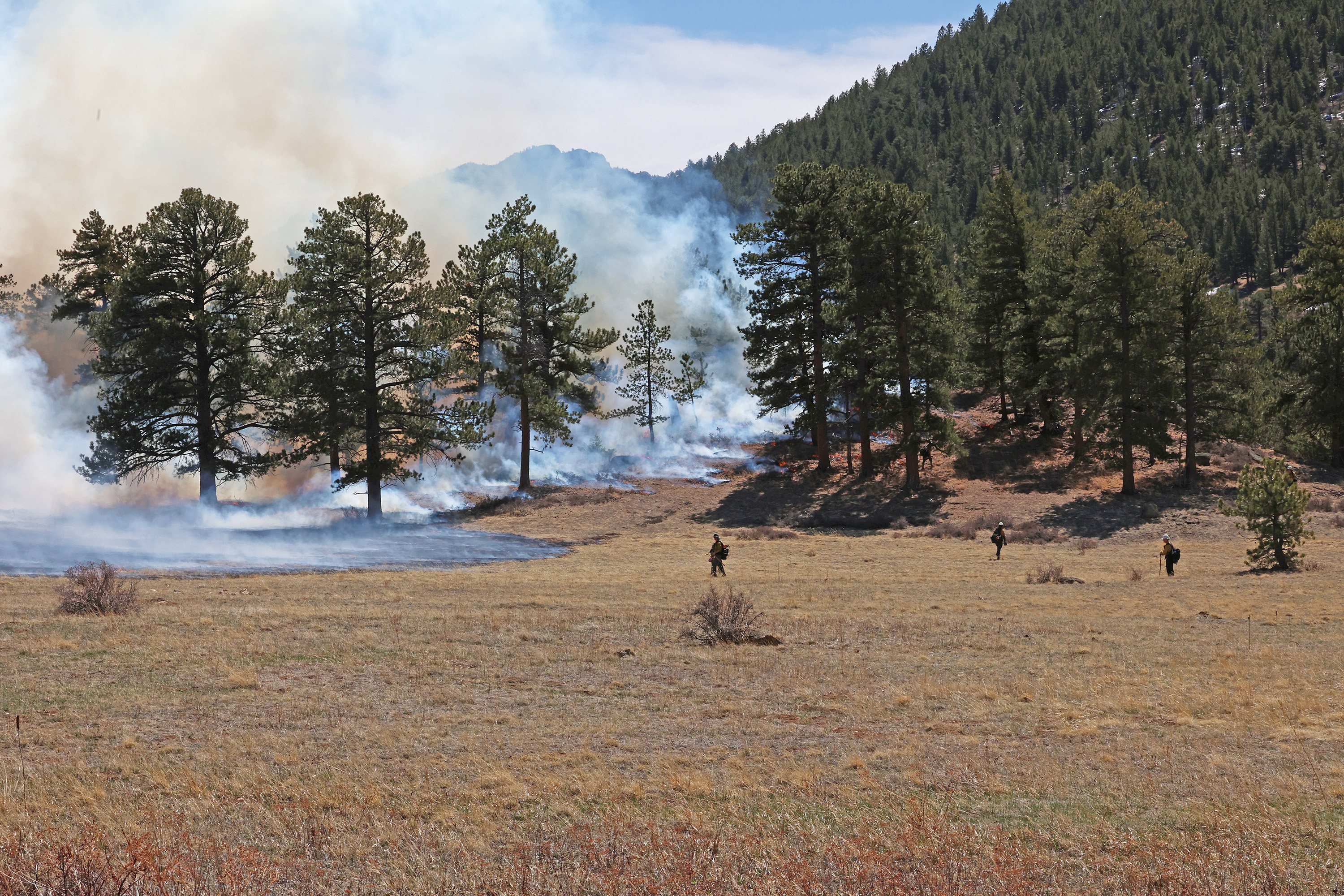 Prescribed burn that took place in Rocky Mountain National Park on April 15, 2025 near the Beaver Meadows Entrance