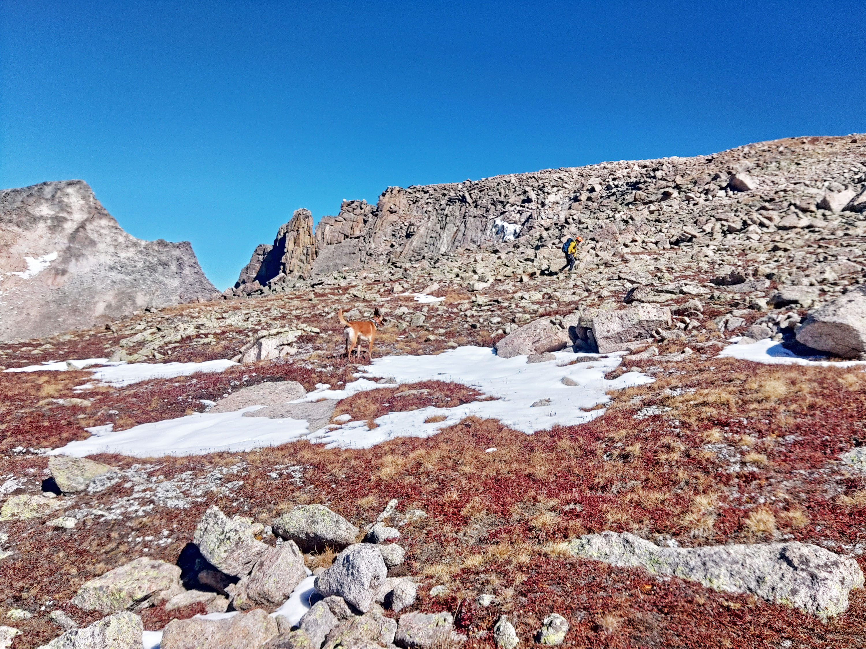 NPS SAR Team with dog searching across rugged mountain terrain on Saturday 10.7.2023