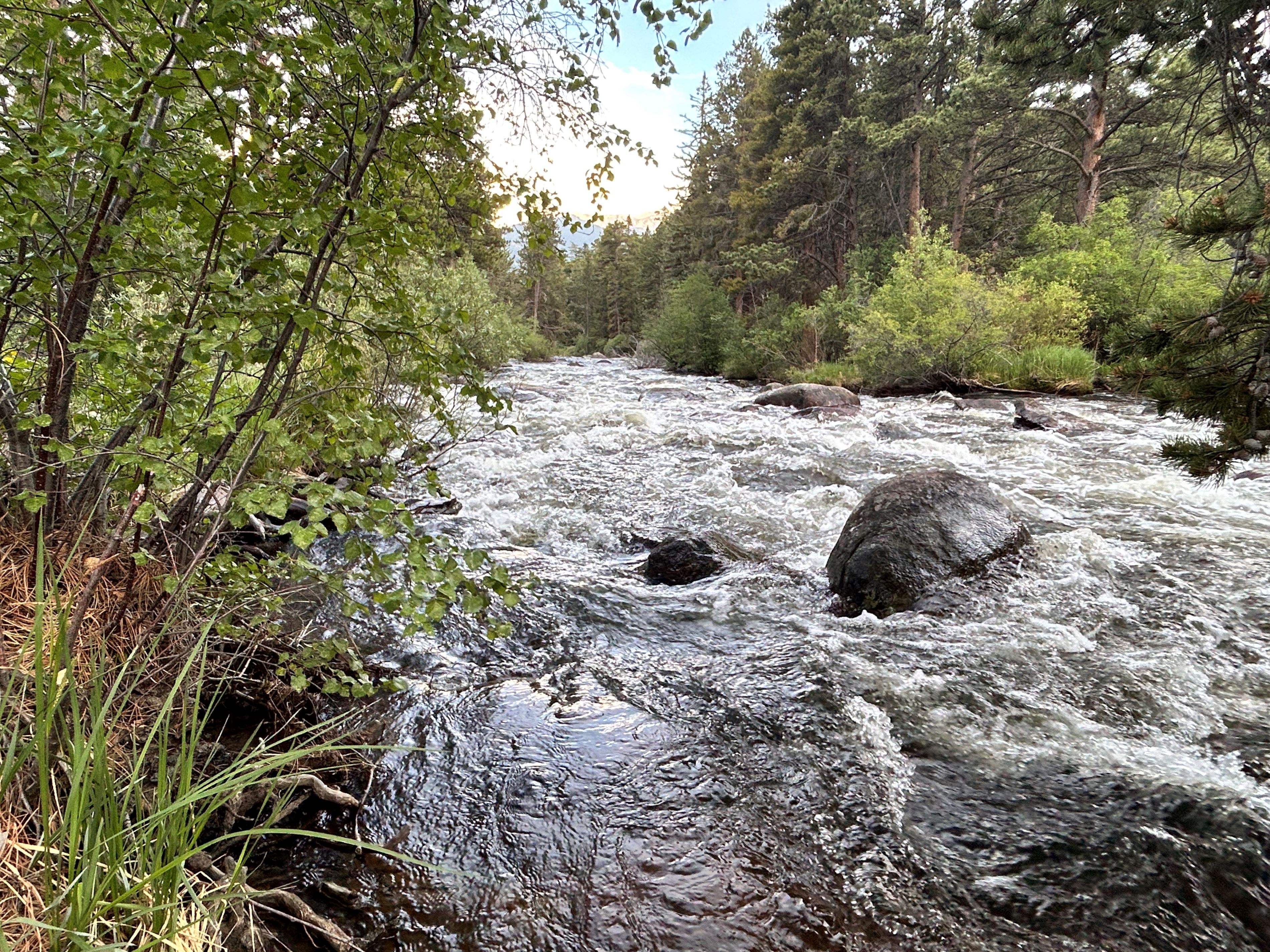 Swift moving water flowing over rocks in Big Thompson River in RMNP.