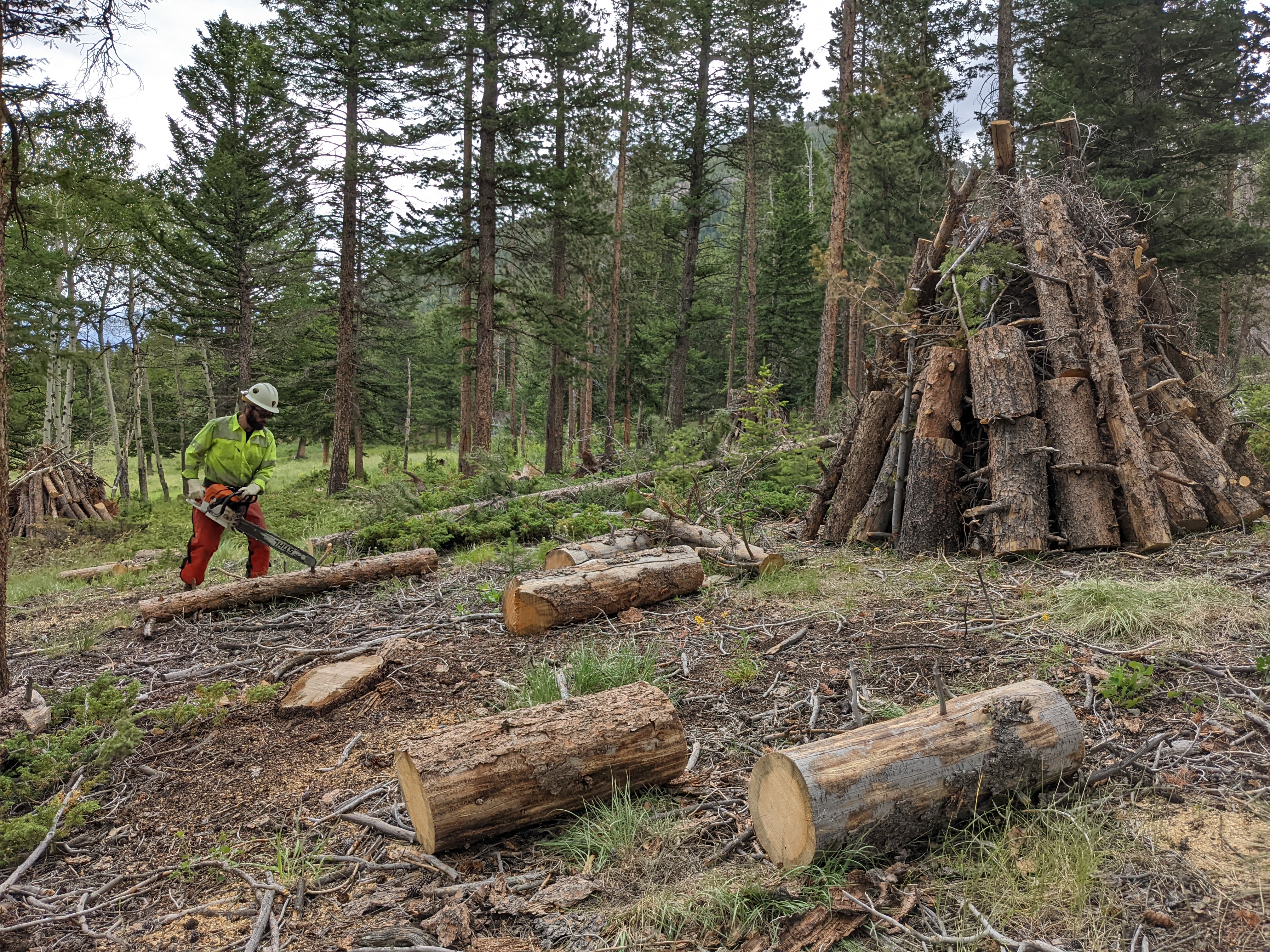 Hazard Fuels Work in Rocky Mountain National Park