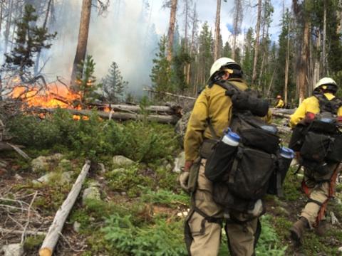 Crew on Tonahutu Fire Tuesday, August 12, 2014