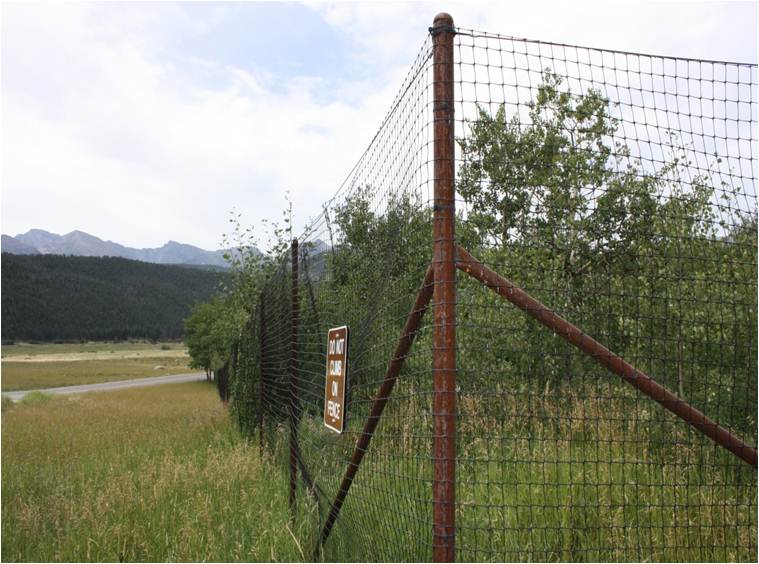 Elk Exclosure Across From Moraine Park Discovery Center August 2013 Elk Exclosure Near Moraine Park Discovery Center in 2013
