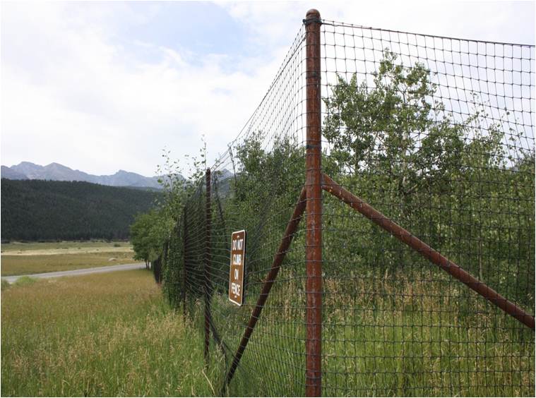 Elk Exclosure Near Moraine Park Discovery Center in 2013