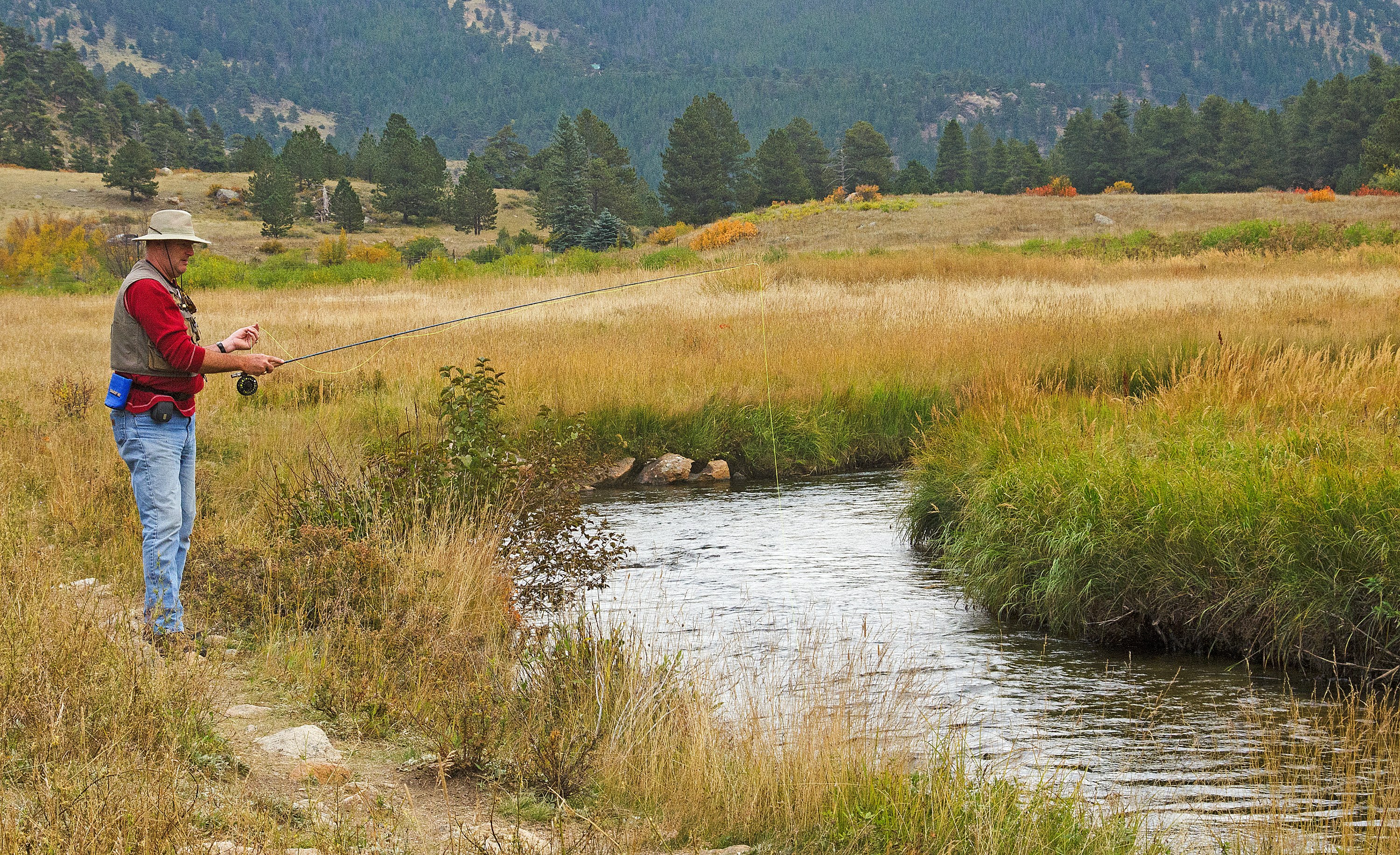 A man is standing and fishing on the banks of a river in a riparian area. He is casting a line into the stream.