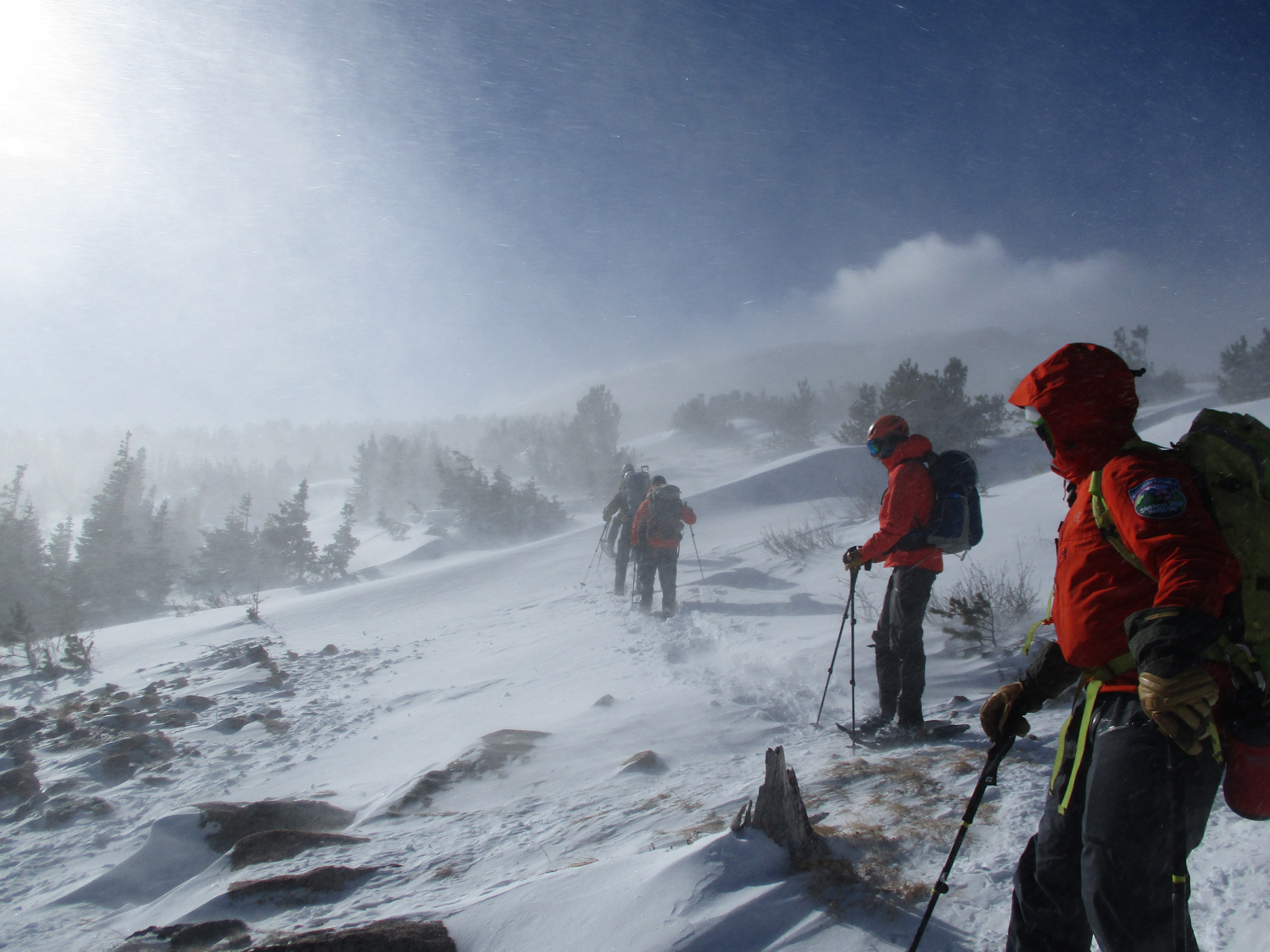 Searchers on November 29 in Jim's Grove area