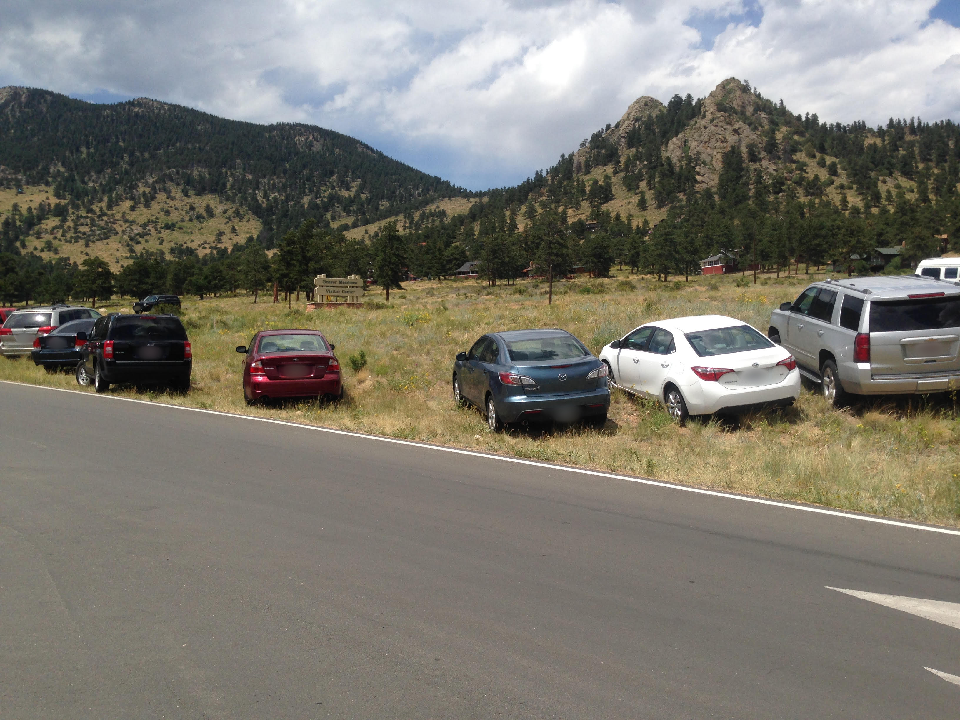 Illegal parking on native vegetation at Beaver Meadows Visitor Center