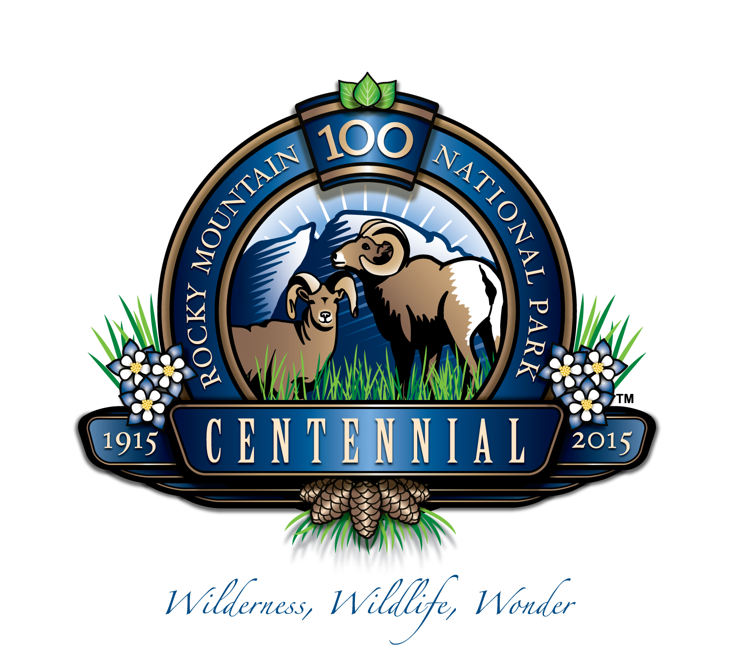 Centennial Logo