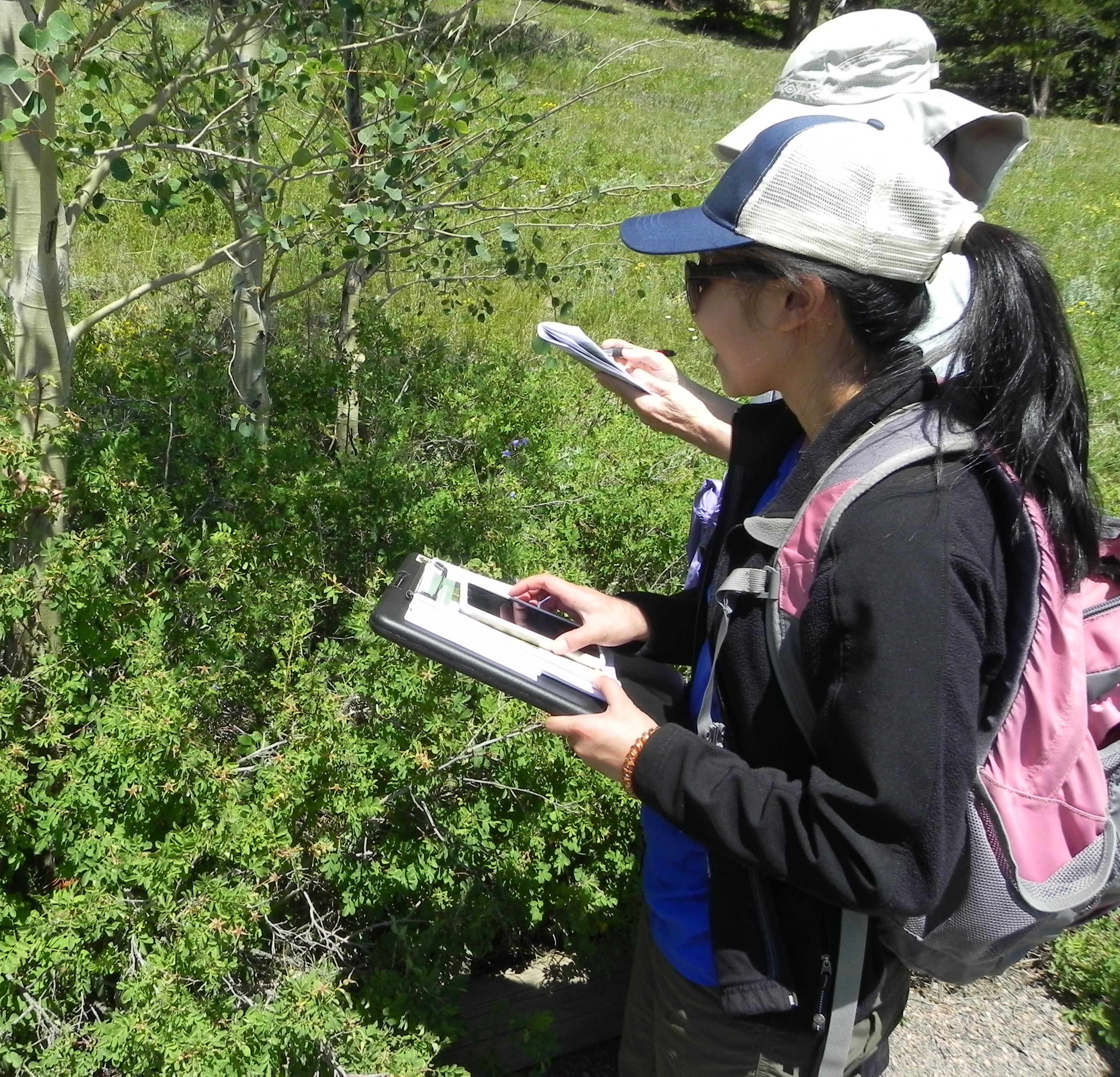 Participating In A Phenology Walk