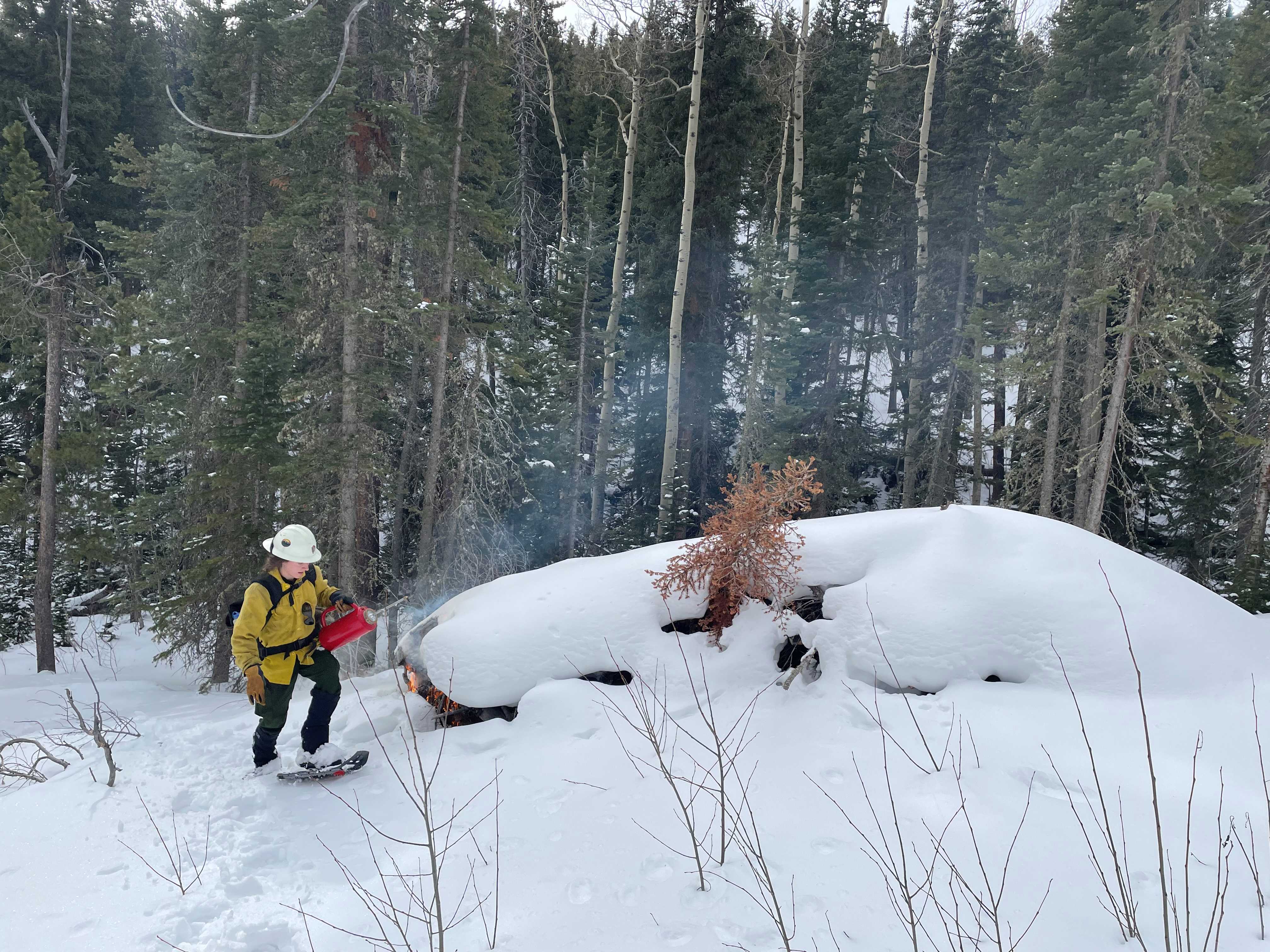 A NPS firefighter, wearing fire gear and snowshoes, is holding a burn torch to light a burn pile covered with a layer of snow several inches deep.  The burn pile is over 6 feet wide.